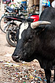 Street life scene Old Thanjavur - Tamil Nadu. 